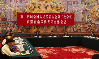 【视频】西藏自治区政府主席：所有发展都要赋予维护统一的意义
