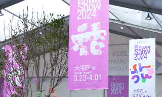 【视频】有繁花更有繁华 2024粤港澳大湾区花展3月23日开启