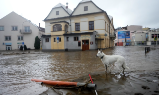 【视频】欧洲多国暴雨成灾至少8死 波兰宣布进入灾难状态