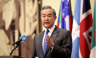 【视频】王毅展望二十国集团合作目标 提出共同反对单边主义、保护主义