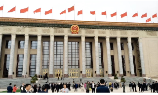 【视频】全国政协委员冯远征：讲好中国故事要走出国门 不能只喊口号