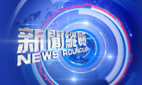 新闻纵览